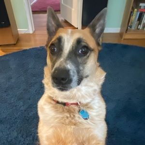 Meet your Posher, Chloe